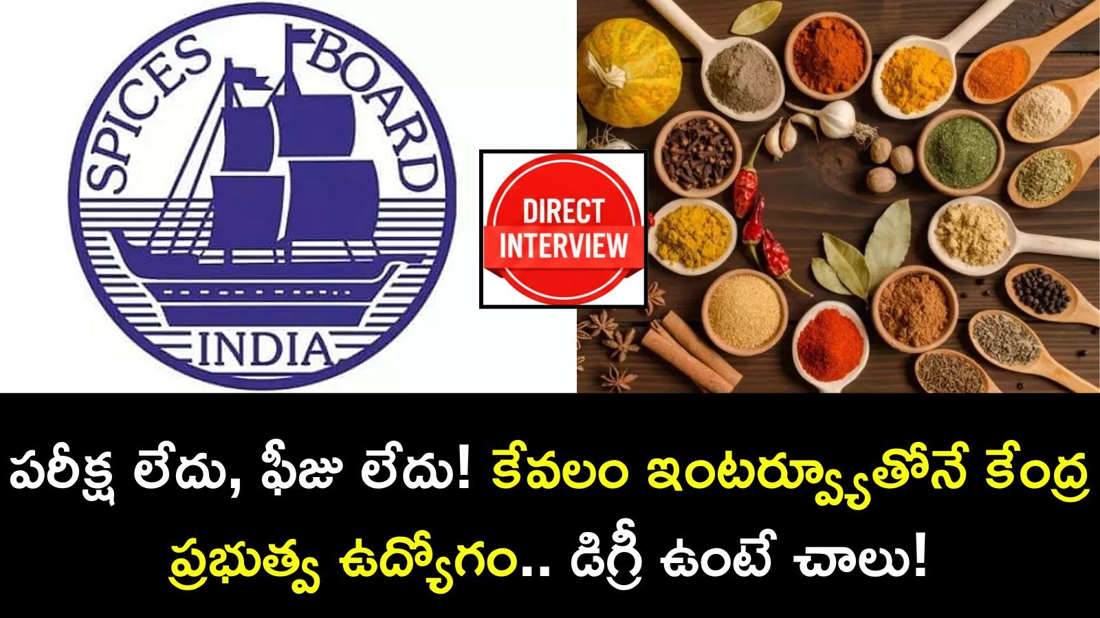 కేంద్ర ప్రభుత్వ ఉద్యోగ నోటిఫికేషన్ 2026: ‘స్పైసెస్ బోర్డ్’లో భారీగా ఖాళీలు – పరీక్ష లేకుండానే ఎంపిక!